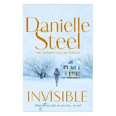 Invisible - Steel, Danielle