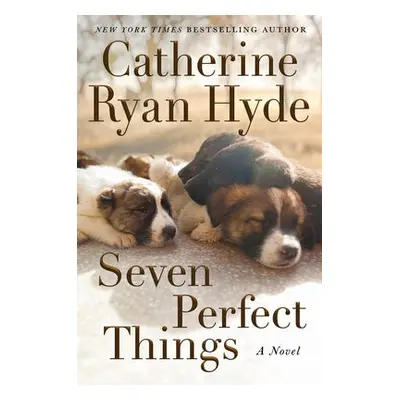 Seven Perfect Things - Hyde, Catherine Ryan