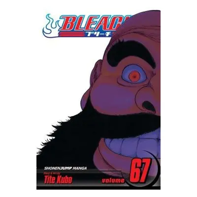 Bleach, Vol. 67 - Kubo, Tite