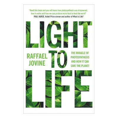 Light to Life - Jovine, Raffael