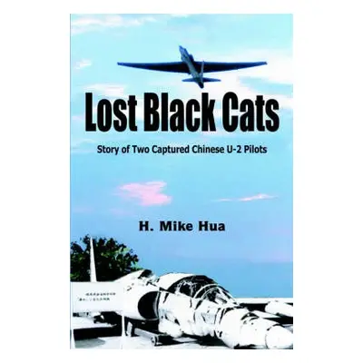 Lost Black Cats - H. Mike Hua