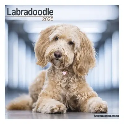 Labradoodle Calendar 2025 Square Dog Breed Wall Calendar - 16 Month