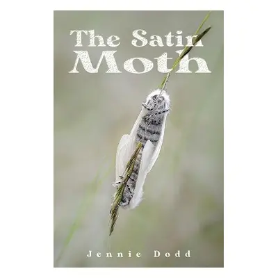 Satin Moth - Dodd, Jennie