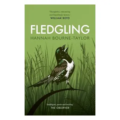 Fledgling - Bourne-Taylor, Hannah