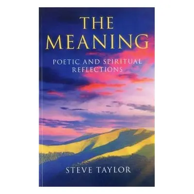 Meaning, The – Poetic and spiritual reflections - Taylor, Steve