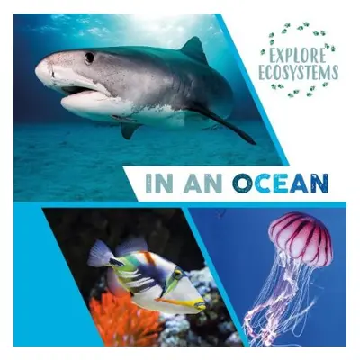 Explore Ecosystems: In an Ocean - Ridley, Sarah