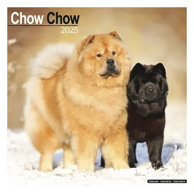 Chow Chow Calendar 2025 Square Dog Breed Wall Calendar - 16 Month