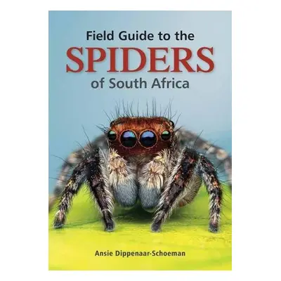 Field Guide to the Spiders of South Africa - Dippenaar-Schoeman, Ansie