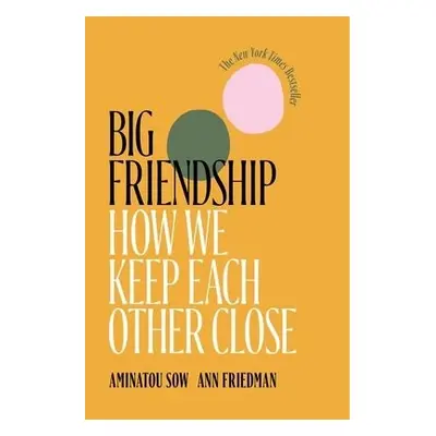 Big Friendship - Sow, Aminatou a Friedman, Ann