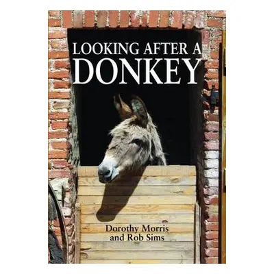 Looking After a Donkey - Morris, Dorothy a Sims, Rob