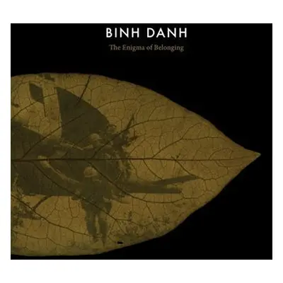 Binh Danh: The Enigma of Belonging