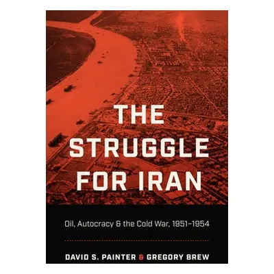 Struggle for Iran - Painter, David S. a Brew, Gregory