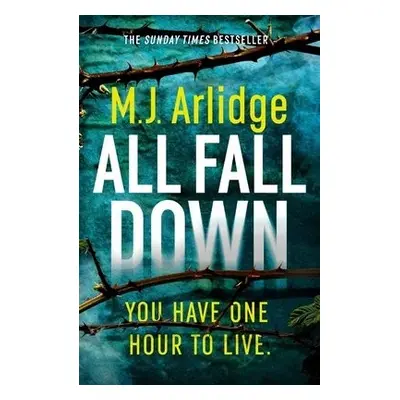 All Fall Down - Arlidge, M. J.