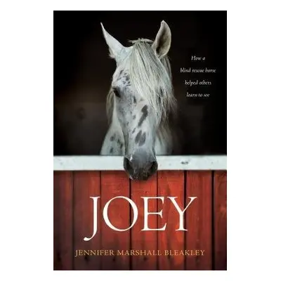 Joey - Bleakley, Jennifer Marshall