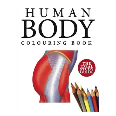 Human Body Colouring Book - Abrahams, Peter