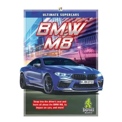 BMW M8 - Greve, Meg