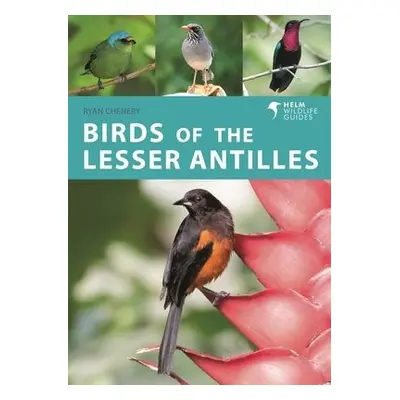 Birds of the Lesser Antilles - Chenery, Ryan