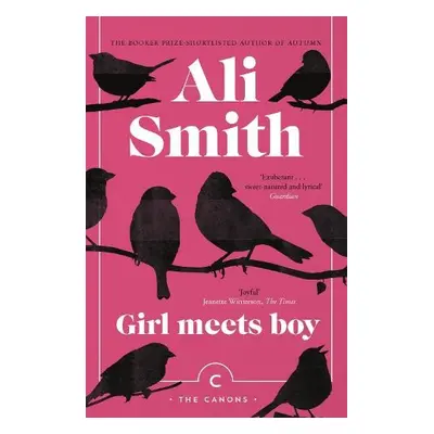 Girl Meets Boy - Smith, Ali