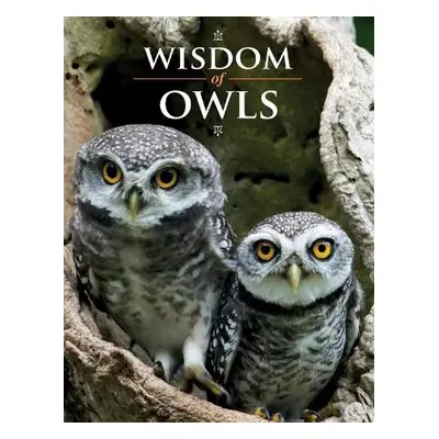 Wisdom of Owls