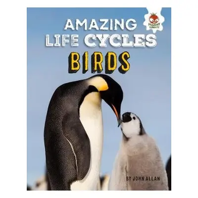 Birds - Amazing Life Cycles - Allan, John