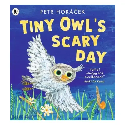 Tiny Owl's Scary Day - Horacek, Petr