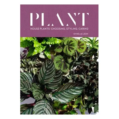 Plant - Leon, Gynelle