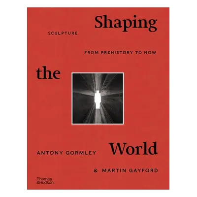 Shaping the World - Gormley, Antony a Gayford, Martin