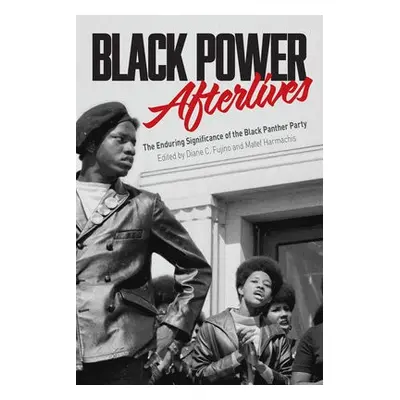 Black Power Afterlives