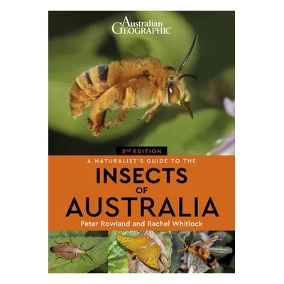 Naturalist's Guide to the Insects of Australia - Rowland, Peter