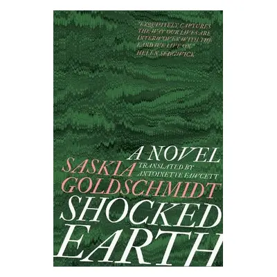 Shocked Earth - Goldschmidt, Saskia