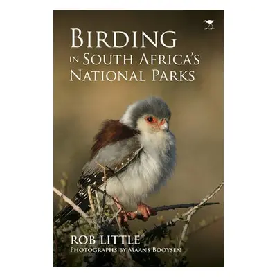 Birding in South Africa's national parks - Little, Rob