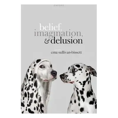 Belief, Imagination, and Delusion