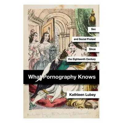 What Pornography Knows - Lubey, Kathleen