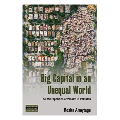 Big Capital in an Unequal World - Armytage, Rosita