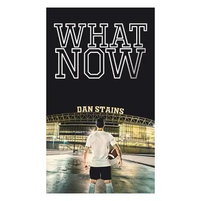 What Now - Stains, Dan