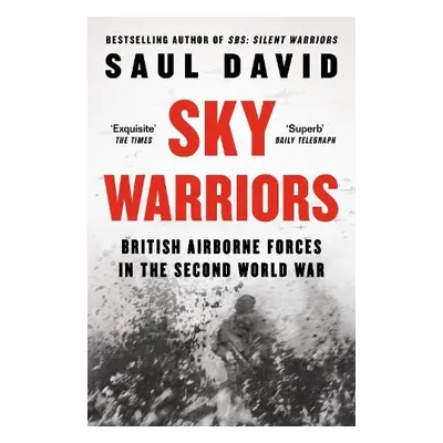 Sky Warriors - David, Saul