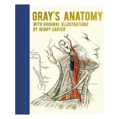 Gray's Anatomy - Gray, Henry