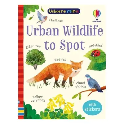 Urban Wildlife to Spot - Nolan, Kate