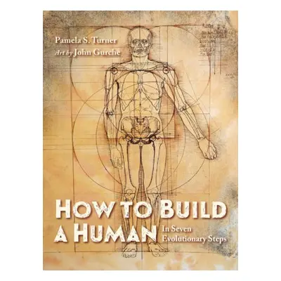 How to Build a Human - Turner, Pamela S. a Gurche, John