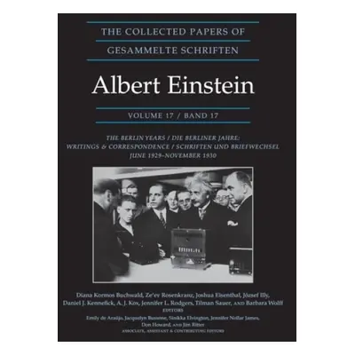 Collected Papers of Albert Einstein, Volume 17 (Documentary Edition) - Einstein, Albert