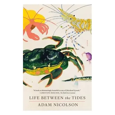 Life Between the Tides - Nicolson, Adam