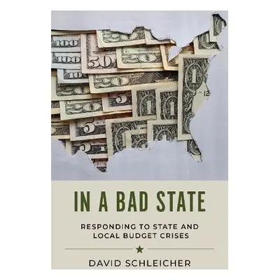 In a Bad State - Schleicher, David (Professor of Law, Professor of Law, Yale Law School)