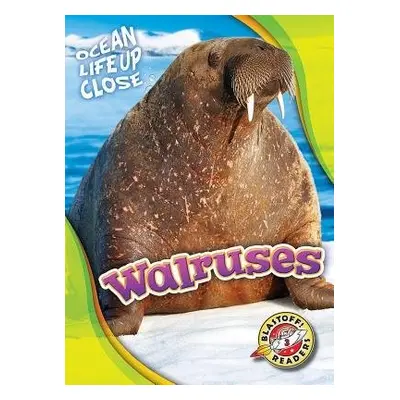 Walruses - Schuetz, Kari