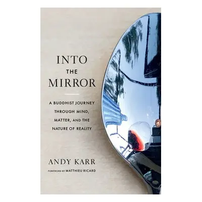 Into the Mirror - Karr, Andy a Ricard, Matthieu