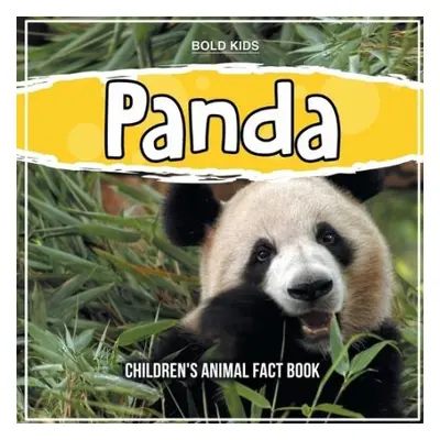 Panda - Kids, Bold