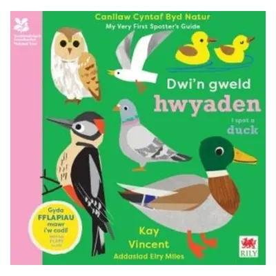 Dwi'n Gweld Hwyaden / I Spot a Duck - Vincent, Kay