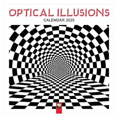 Optical Illusions Wall Calendar 2025 (Art Calendar)