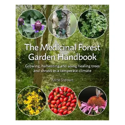 Medicinal Forest Garden Handbook - Stobart, Anne