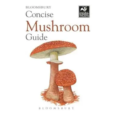 Concise Mushroom Guide - Bloomsbury