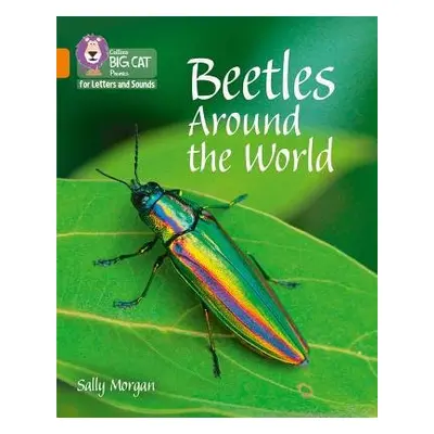 Beetles Around the World - Morgan, Sally